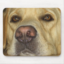 Mr. King Mouse Pads