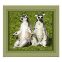 Mr & Mrs Lemur Photo Print