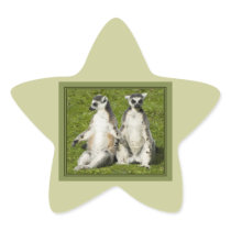 Mr & Mrs Lemur