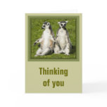 Mr & Mrs Lemur Thinking of you Card