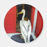 Mr. Mykonos Magnet