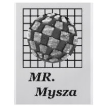 MR. MYSZA FLYER