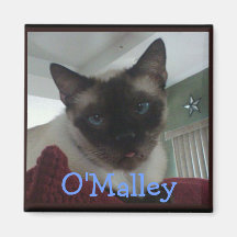 Mr. O'Malley Refrigerator Magnet