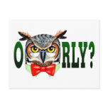 Mr. Owl says O RLY? postcards