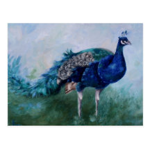 Mr. Peacock Postcard
