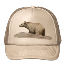 Mr Polar Bear Hats