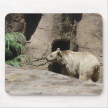Mr Polar Bear Mouse Pad