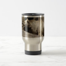 Mr Polar Bear Mugs