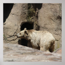 Mr Polar Bear Poster