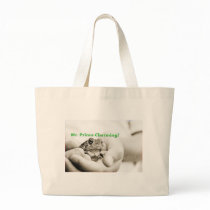 Mr Prince Charming bags