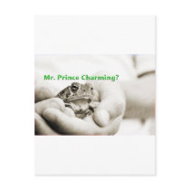 Mr Prince Charming postcards