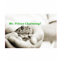 Mr Prince Charming t-shirts