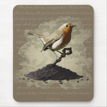 Mr. Robin Finds the Key, mousepad