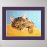 Mr. Tabby Cat posters