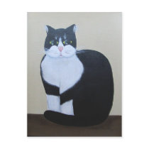 Mr Whiskers ~ postcard