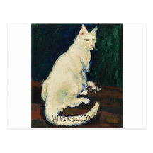 Mr White - Nemeir the Cat Post Cards