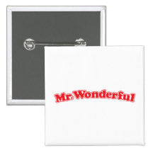 Mr Wonderful Pin