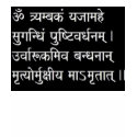 Mrityunjaya Mantra t-shirts