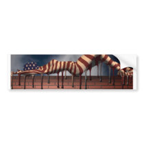 Ms America Bumper Sticker