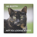 Ms. Sweetpea the Tortie magnets