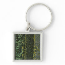 Mt. Ashland, Rogue RIver National Forest, Keychain