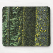 Mt. Ashland, Rogue RIver National Forest, Mousepad