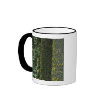 Mt. Ashland, Rogue RIver National Forest, Coffee Mugs