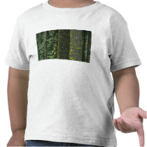Mt. Ashland, Rogue RIver National Forest, T-shirts