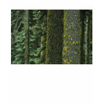 Mt. Ashland, Rogue RIver National Forest, t-shirts