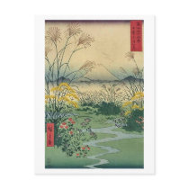 Mt Fuji 31