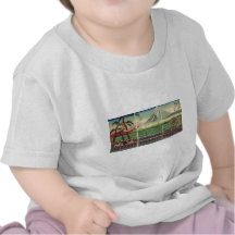 Mt. Fuji circa 1860's Tee Shirt