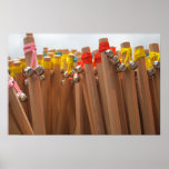 Mt. Fuji Climbing Sticks posters