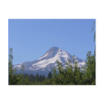 Mt Hood, Oregon on an August day postcard