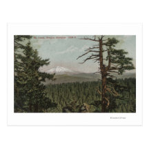 Mt. Hood, Oregon - View of Mountain from Distant Postcard