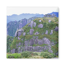 Mt. Nagata, Yakushima, Kagoshima, Japan Magnet