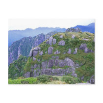 Mt. Nagata, Yakushima, Kagoshima, Japan Post Cards