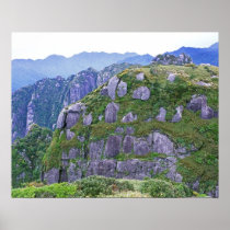 Mt. Nagata, Yakushima, Kagoshima, Japan Print