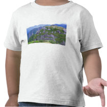 Mt. Nagata, Yakushima, Kagoshima, Japan Tshirts