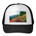 Mt. Rainier, Washington Hats