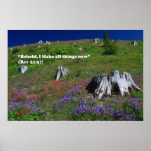 Mt. St. Helen's at Johnston Ridge Renewal of Life Poster