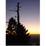 Mt. Tam sunset 3 photo sculptures