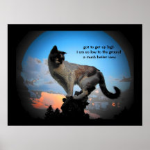 Much better view Haiku Print