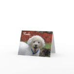 Mud Faced Poodle Dog Animal Thank You Card