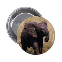 Muddy Baby Elephant Button