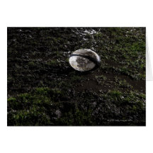 Muddy rugby ball sitting on a chewed up grass cards