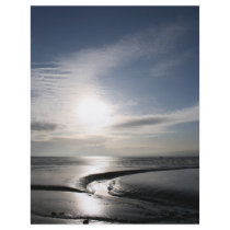 Mudflats Flyer Design