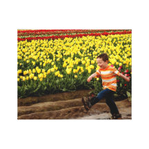Mudpuddles Stretched Canvas Prints