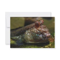 Mudskipper Amphibious Fish Oxudercinae Personalized Invitation