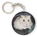 Muffin (keychain)