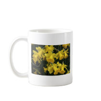 MUG, Daffodil Mass